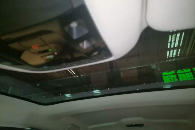 Used Lexus RZ 2023 450e All-Wheel Drive Luxury Edition Headliner