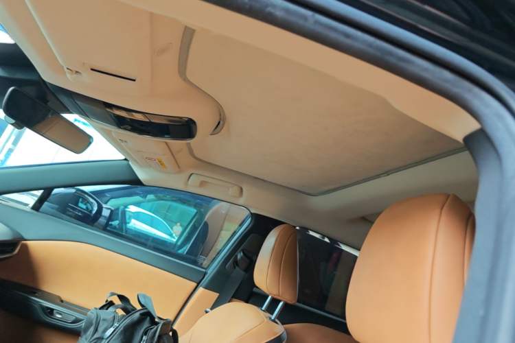 Used Lexus RZ 2023 450e All-Wheel Drive Luxury Edition Headliner