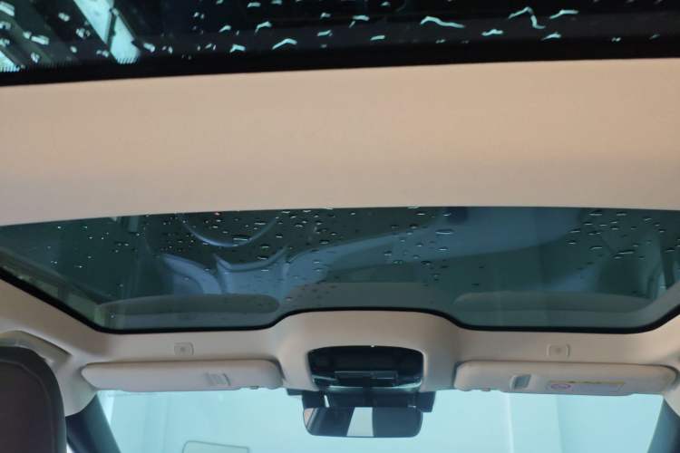 Used Lexus RZ 2023 450e All-Wheel Drive Luxury Edition Headliner