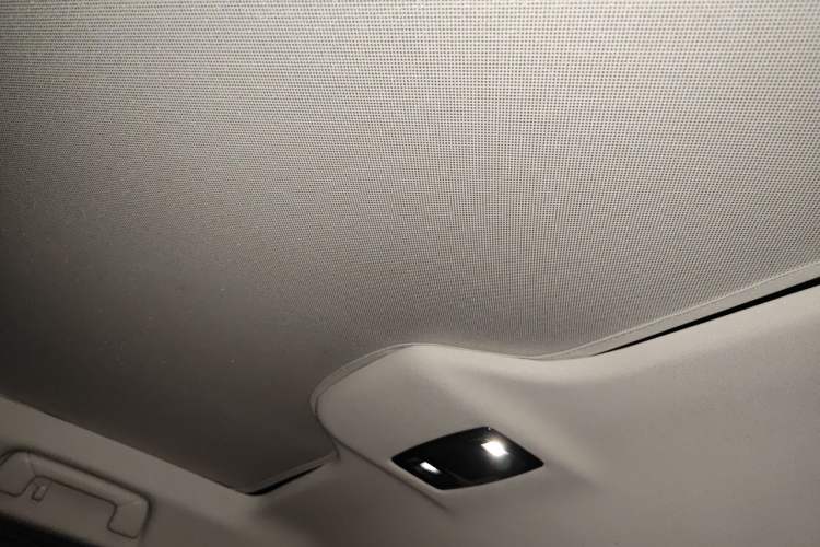 Used Lexus RZ 2023 450e All-Wheel Drive Luxury Edition Headliner