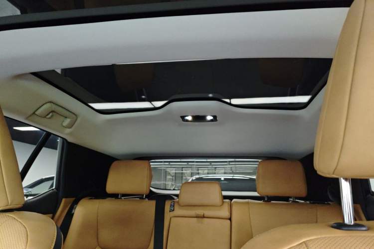 Used Lexus RZ 2023 450e All-Wheel Drive Luxury Edition Headliner