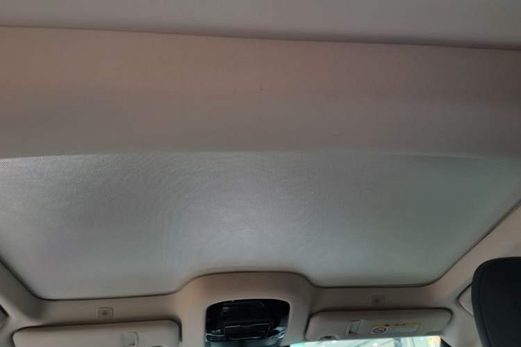 Used Lexus RZ 2023 450e All-Wheel Drive Luxury Edition Headliner