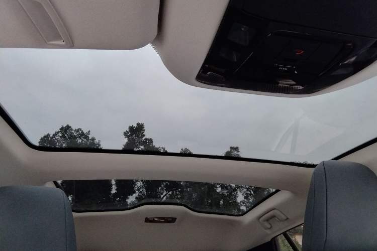 Used Lexus RZ 2023 450e All-Wheel Drive Luxury Edition Headliner