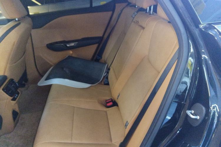 Used Lexus RZ 2023 450e All-Wheel Drive Luxury Edition Interior 4