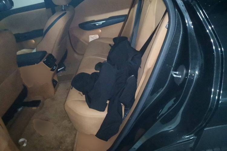 Used Lexus RZ 2023 450e All-Wheel Drive Luxury Edition Left Rear Seat