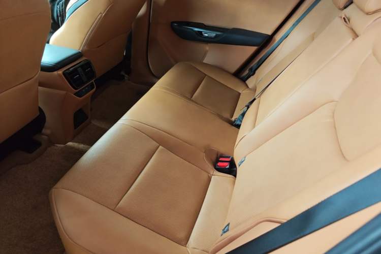 Used Lexus RZ 2023 450e All-Wheel Drive Luxury Edition Left Rear Seat