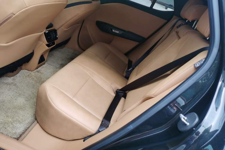 Used Lexus RZ 2023 450e All-Wheel Drive Luxury Edition Left Rear Seat