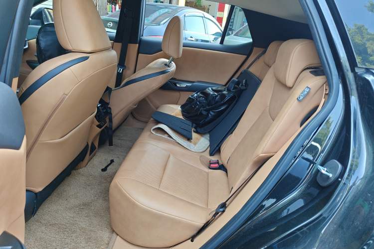 Used Lexus RZ 2023 450e All-Wheel-Drive Long-Range Version Left Rear Seat