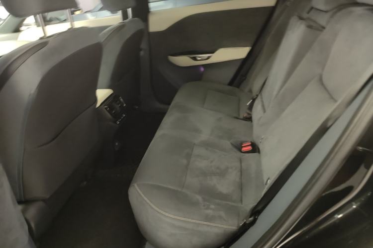 Used Lexus RZ 2023 450e All-Wheel-Drive Luxury Edition Left Rear Seat