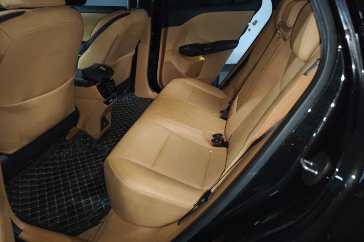 Used Lexus RZ 2023 450e All-Wheel Drive Luxury Edition Left Rear Seat