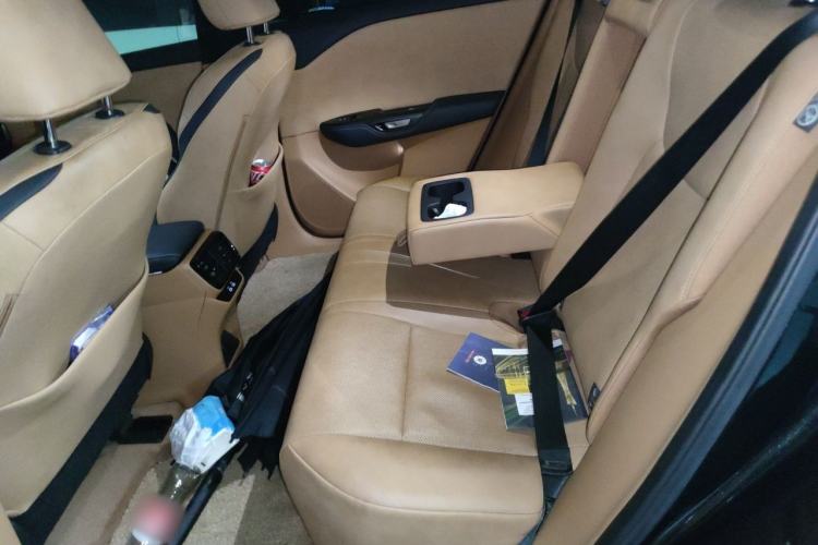 Used Lexus RZ 2023 450e All-Wheel Drive Luxury Edition Left Rear Seat