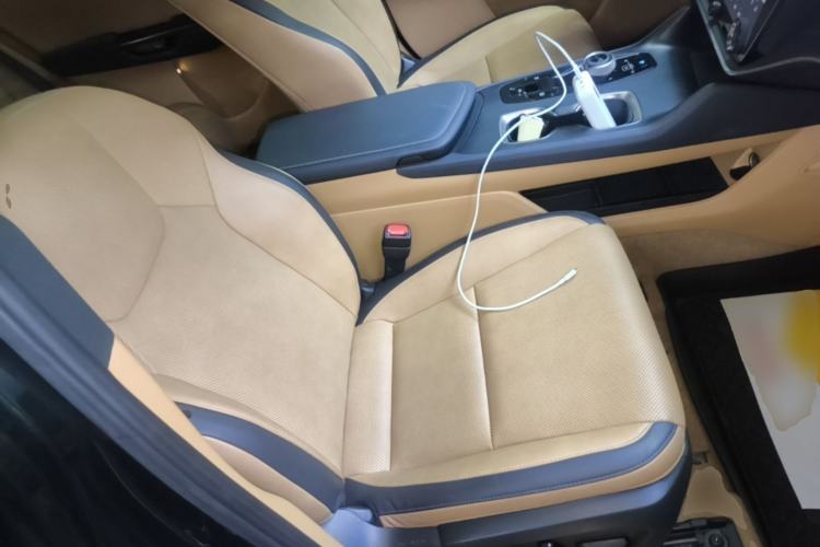 Used Lexus RZ 2023 450e All-Wheel Drive Luxury Edition Right Front Seat