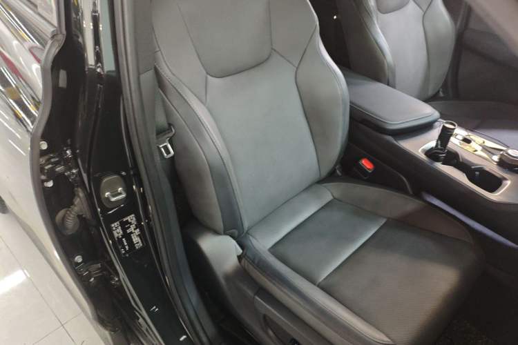 Used Lexus RZ 2023 450e All-Wheel Drive Luxury Edition Right Front Seat
