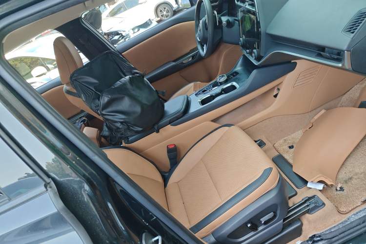 Used Lexus RZ 2023 450e All-Wheel-Drive Long-Range Version Right Front Seat