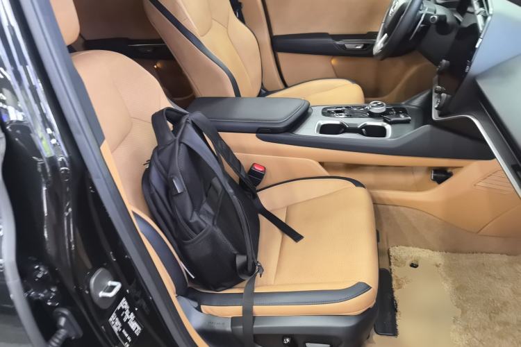Used Lexus RZ 2023 450e All-Wheel Drive Luxury Edition Right Front Seat