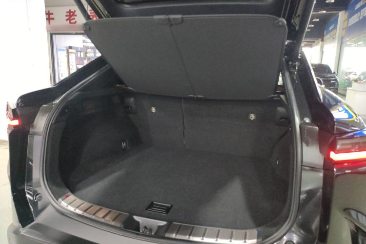 Used Lexus RZ 2023 450e All-Wheel Drive Luxury Edition Trunk