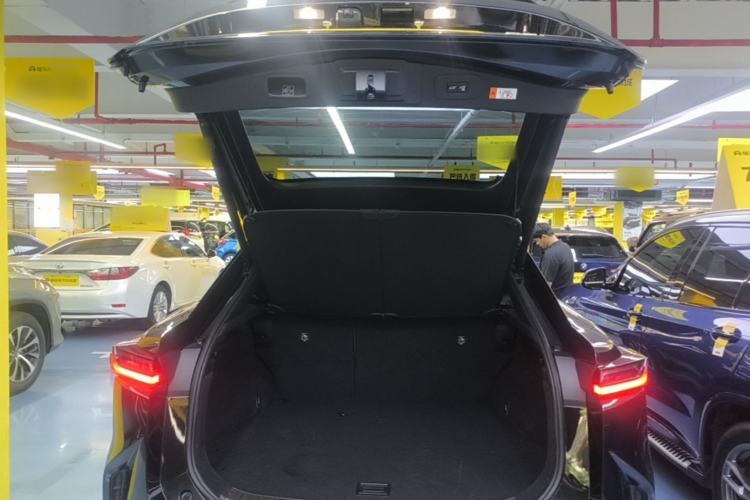Used Lexus RZ 2023 450e All-Wheel Drive Luxury Edition Trunk
