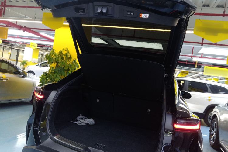 Used Lexus RZ 2023 450e All-Wheel Drive Luxury Edition Trunk