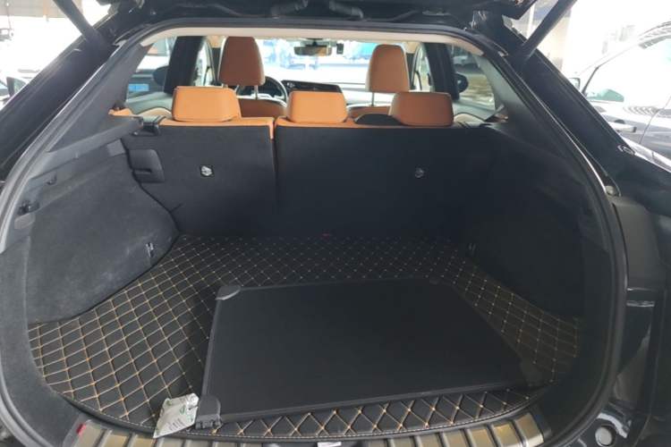 Used Lexus RZ 2023 450e All-Wheel Drive Luxury Edition Trunk
