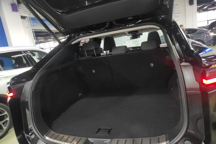 Used Lexus RZ 2023 450e All-Wheel Drive Luxury Edition Trunk