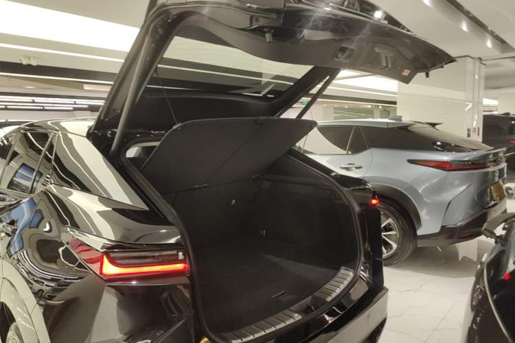 Used Lexus RZ 2023 450e All-Wheel-Drive Luxury Edition Trunk