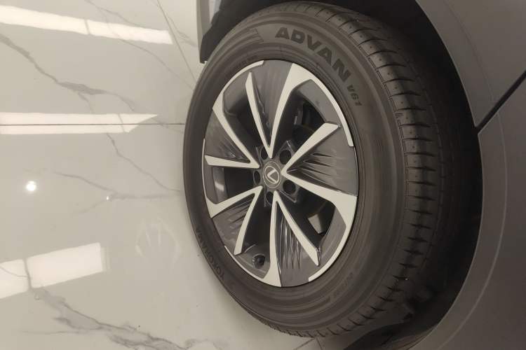 Used Lexus RZ 2023 450e All-Wheel Drive Luxury Edition Exterior 5