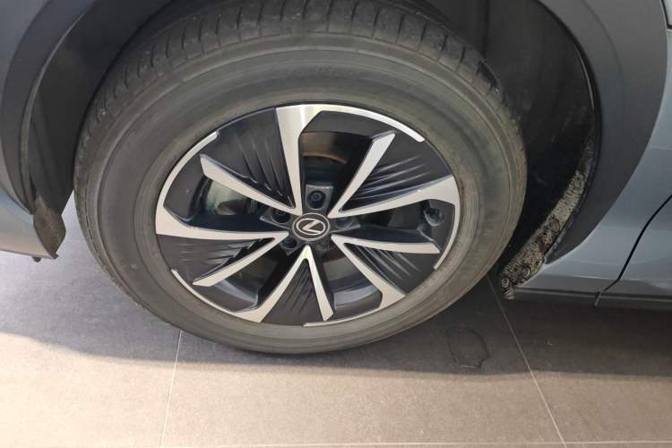 Used Lexus RZ 2023 450e All-Wheel Drive Luxury Edition Exterior 7