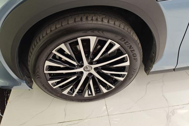 Used Lexus RZ 2023 450e All-Wheel Drive Luxury Edition Exterior 7