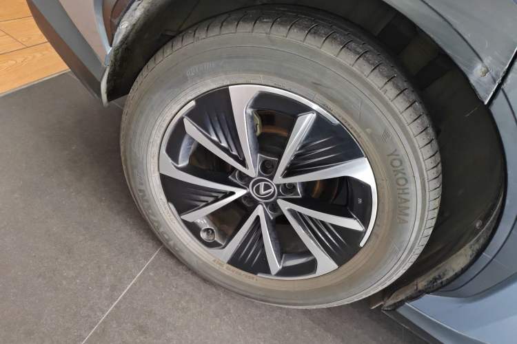 Used Lexus RZ 2023 450e All-Wheel Drive Luxury Edition Exterior 8