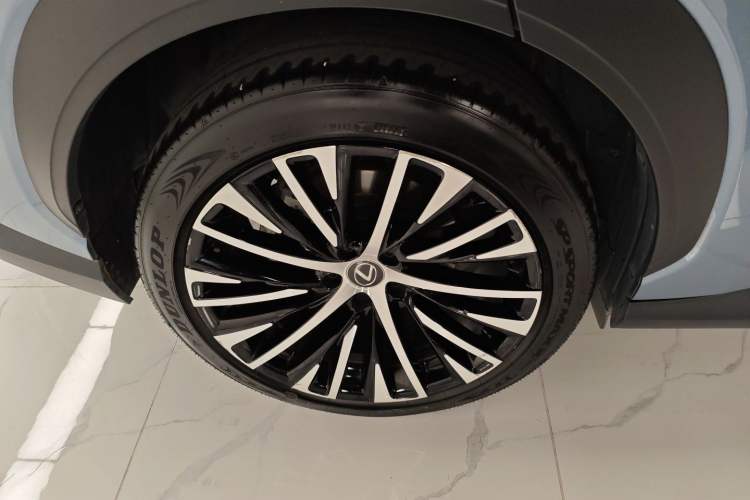 Used Lexus RZ 2023 450e All-Wheel Drive Luxury Edition Exterior 8