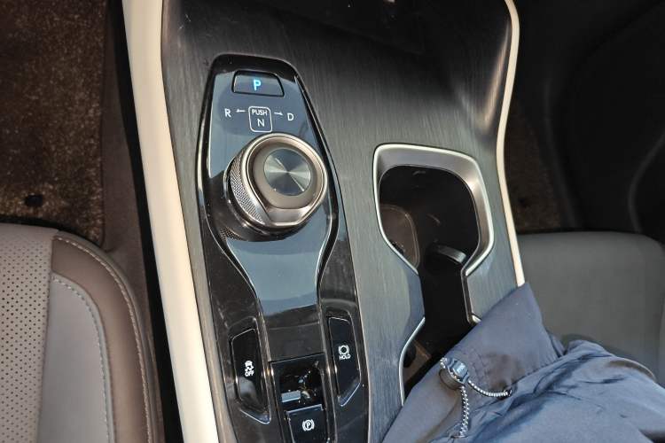 Used Lexus RZ 2023 450e All-Wheel Drive Luxury Edition Gear Lever