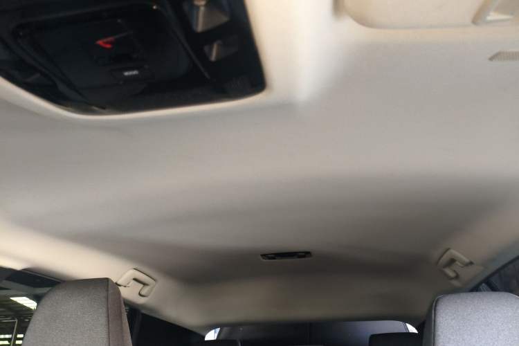 Used Lexus RZ 2023 450e All-Wheel Drive Luxury Edition Headliner