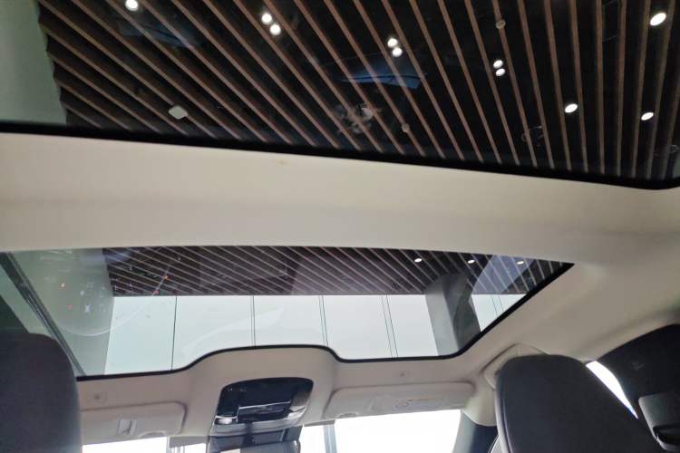 Used Lexus RZ 2023 450e All-Wheel Drive Luxury Edition Headliner