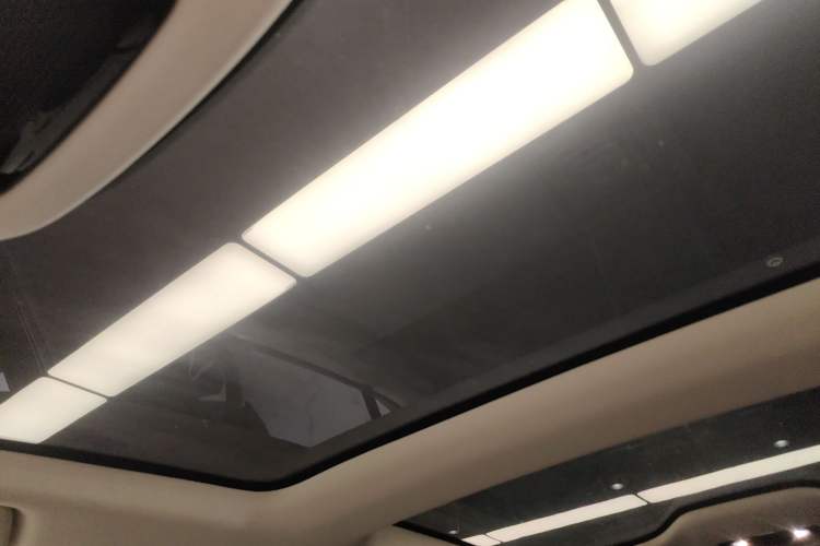 Used Lexus RZ 2023 450e All-Wheel Drive Luxury Edition Headliner