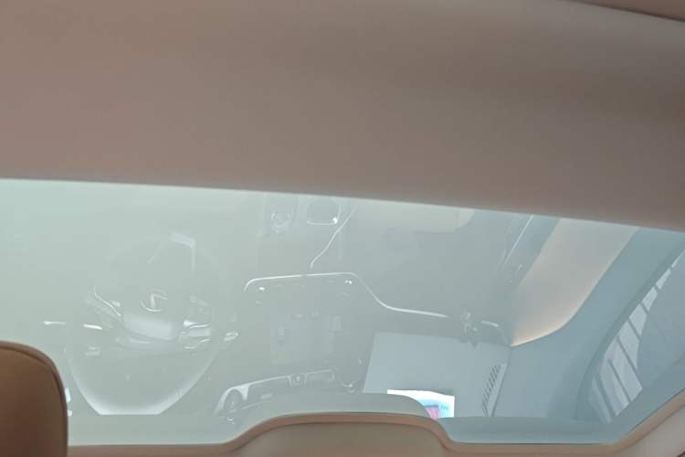 Used Lexus RZ 2023 450e All-Wheel Drive Luxury Edition Headliner