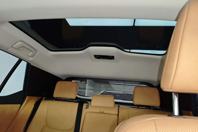 Used Lexus RZ 2023 450e All-Wheel Drive Luxury Edition Headliner