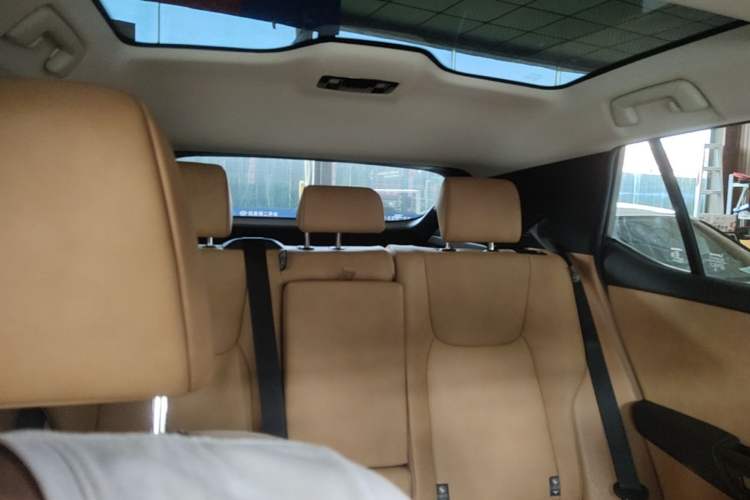 Used Lexus RZ 2023 450e All-Wheel Drive Luxury Edition Headliner