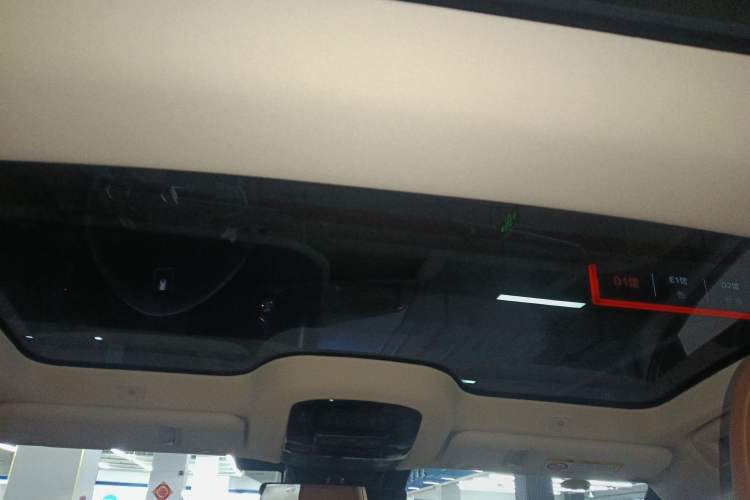 Used Lexus RZ 2023 450e All-Wheel Drive Luxury Edition Headliner