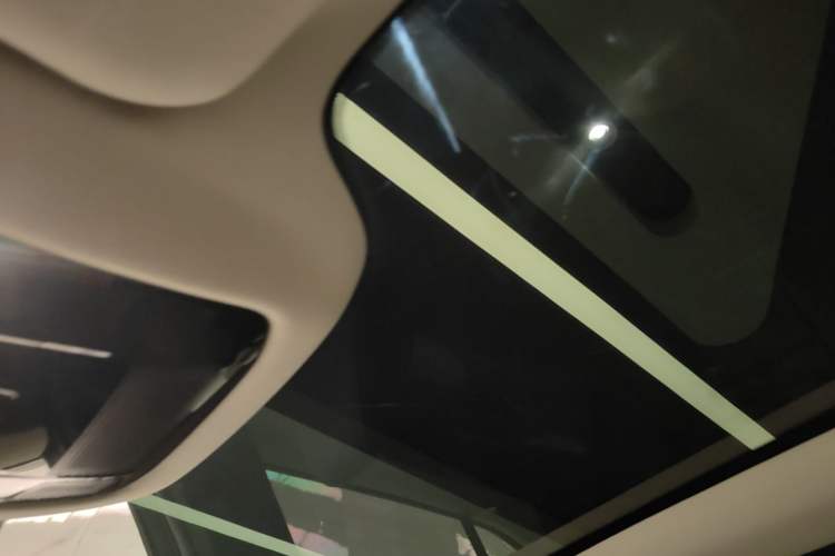Used Lexus RZ 2023 450e All-Wheel Drive Luxury Edition Headliner
