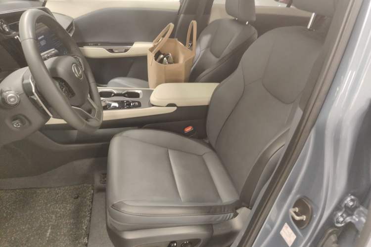 Used Lexus RZ 2023 450e All-Wheel Drive Luxury Edition Left Front Seat
