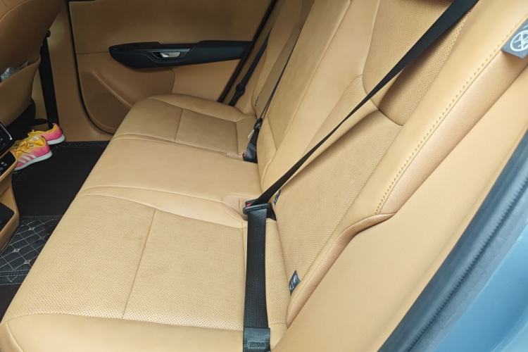 Used Lexus RZ 2023 450e All-Wheel Drive Luxury Edition Left Rear Seat