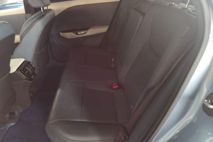 Used Lexus RZ 2023 450e All-Wheel Drive Luxury Edition Left Rear Seat