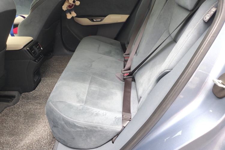Used Lexus RZ 2023 450e All-Wheel-Drive Luxury Edition Left Rear Seat