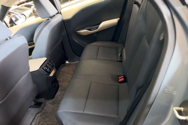 Used Lexus RZ 2023 450e All-Wheel Drive Luxury Edition Left Rear Seat