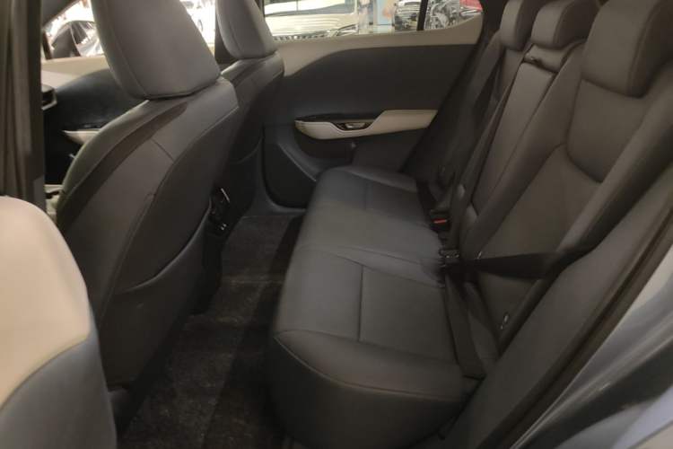 Used Lexus RZ 2023 450e All-Wheel Drive Luxury Edition Left Rear Seat