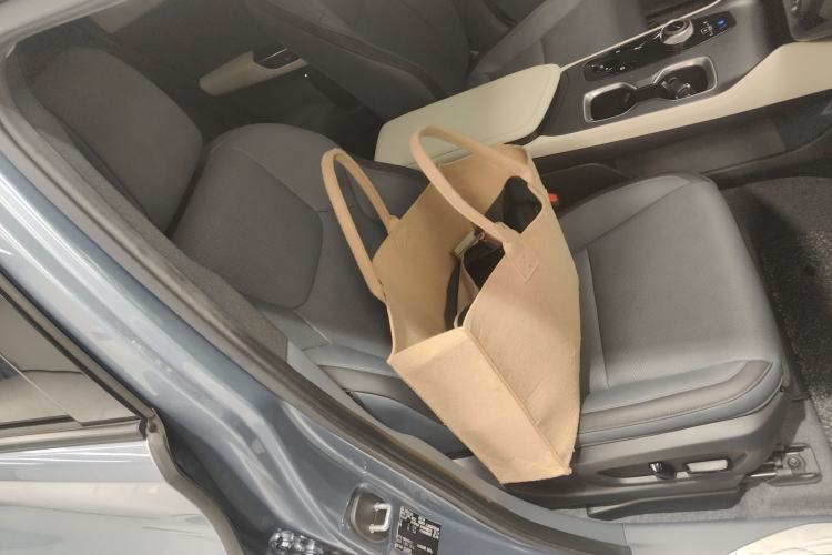 Used Lexus RZ 2023 450e All-Wheel Drive Luxury Edition Right Front Seat