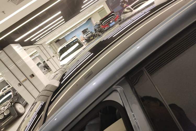 Used Lexus RZ 2023 450e All-Wheel Drive Luxury Edition Roof