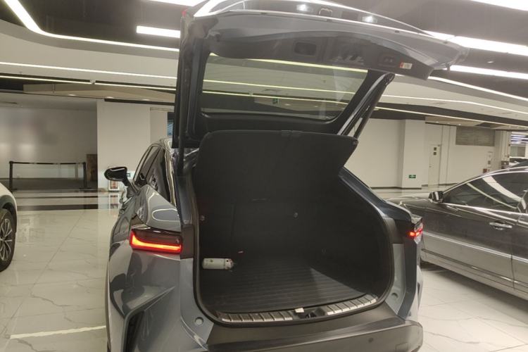 Used Lexus RZ 2023 450e All-Wheel Drive Luxury Edition Trunk
