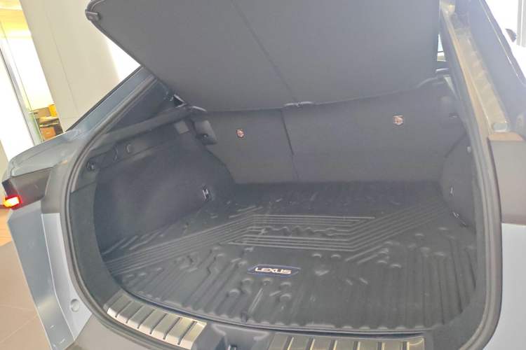 Used Lexus RZ 2023 450e All-Wheel Drive Luxury Edition Trunk