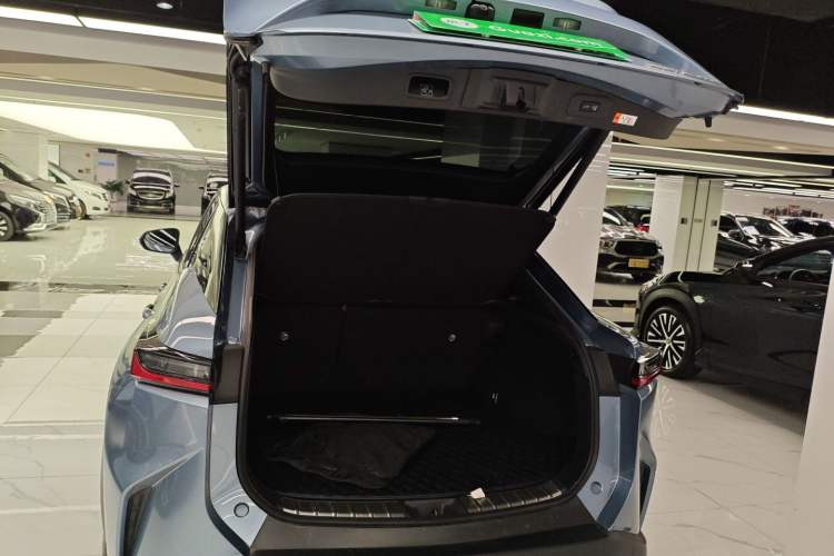 Used Lexus RZ 2023 450e All-Wheel Drive Luxury Edition Trunk